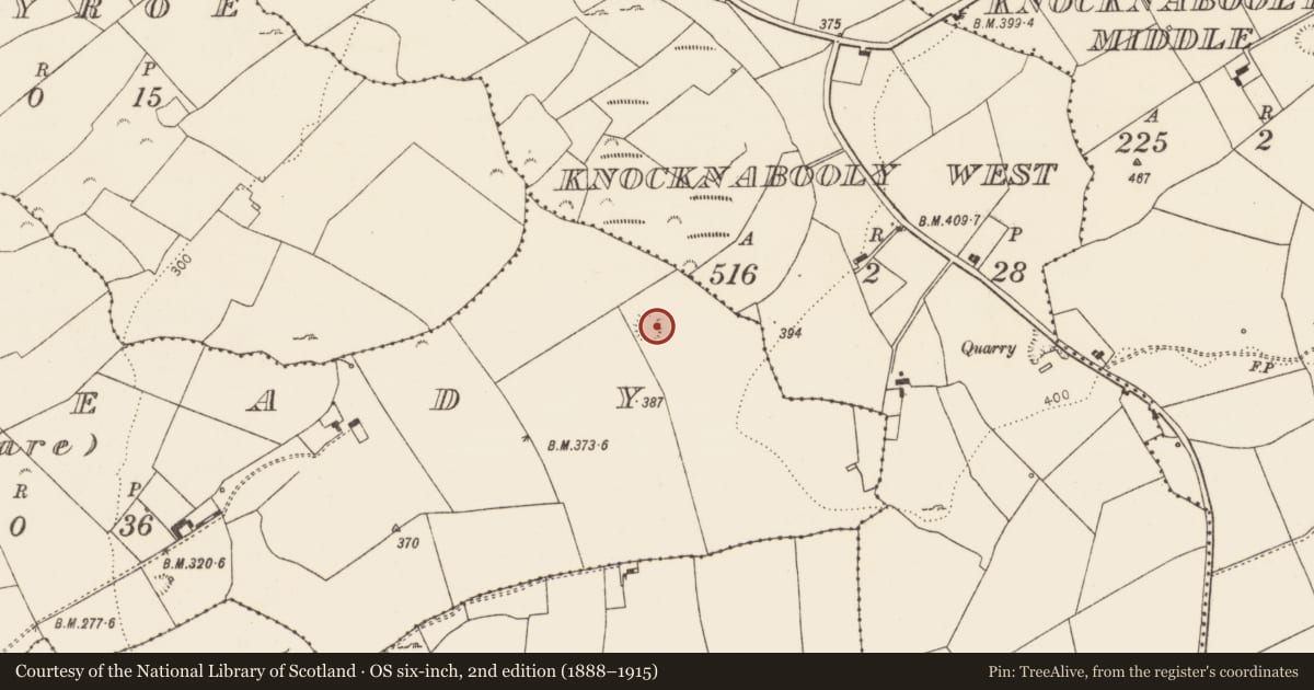 Ordnance Survey six-inch map, 2nd edition (1888–1915) covering the location of Ringfort - rath, Lisready (Clare), County Limerick, with a pin at the register's coordinates