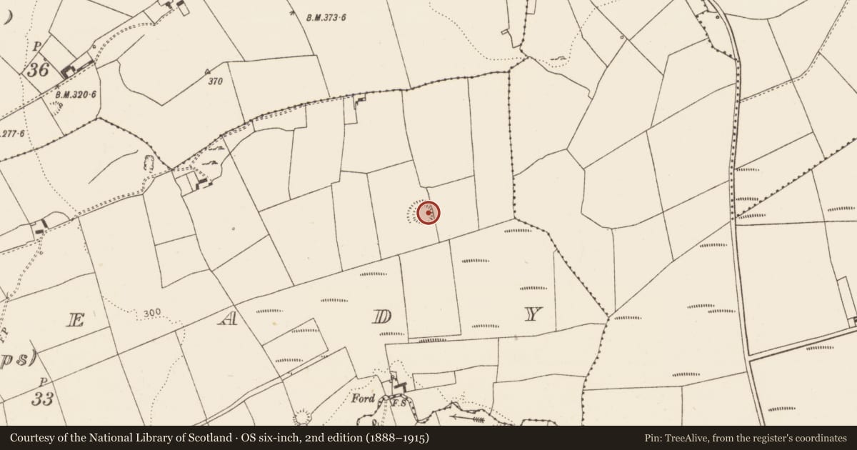 Ordnance Survey six-inch map, 2nd edition (1888–1915) covering the location of Ringfort - rath, Lisready (Cripps), County Limerick, with a pin at the register's coordinates