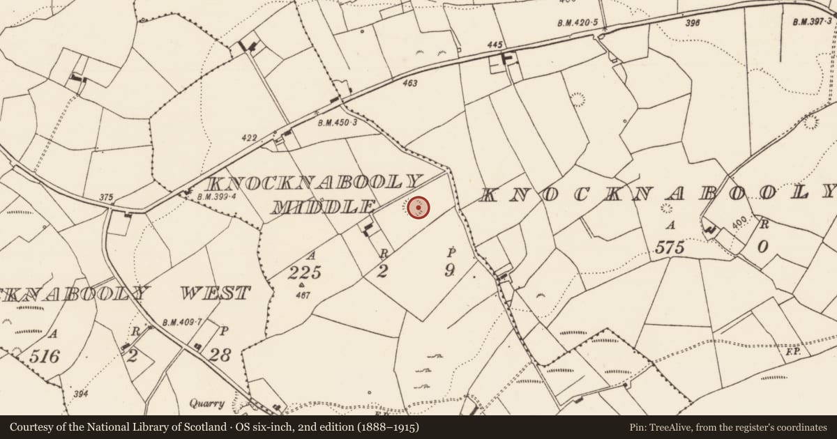 Ordnance Survey six-inch map, 2nd edition (1888–1915) covering the location of Ringfort - rath, Knocknabooly Middle, County Limerick, with a pin at the register's coordinates