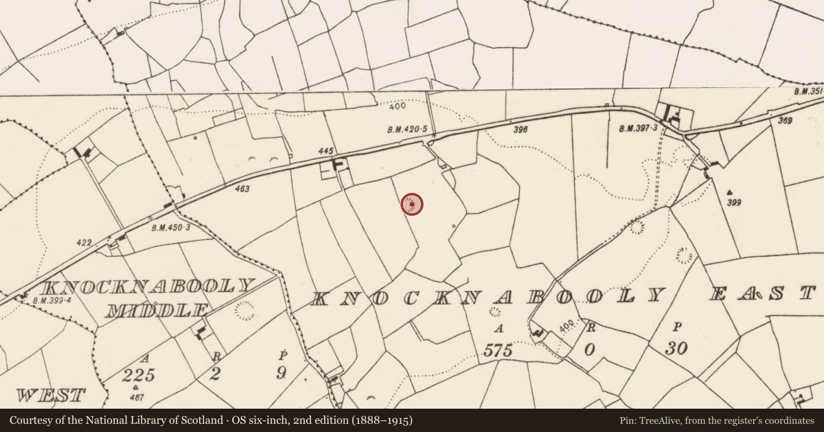 Ordnance Survey six-inch map, 2nd edition (1888–1915) covering the location of Ringfort - rath, Knocknabooly East, County Limerick, with a pin at the register's coordinates