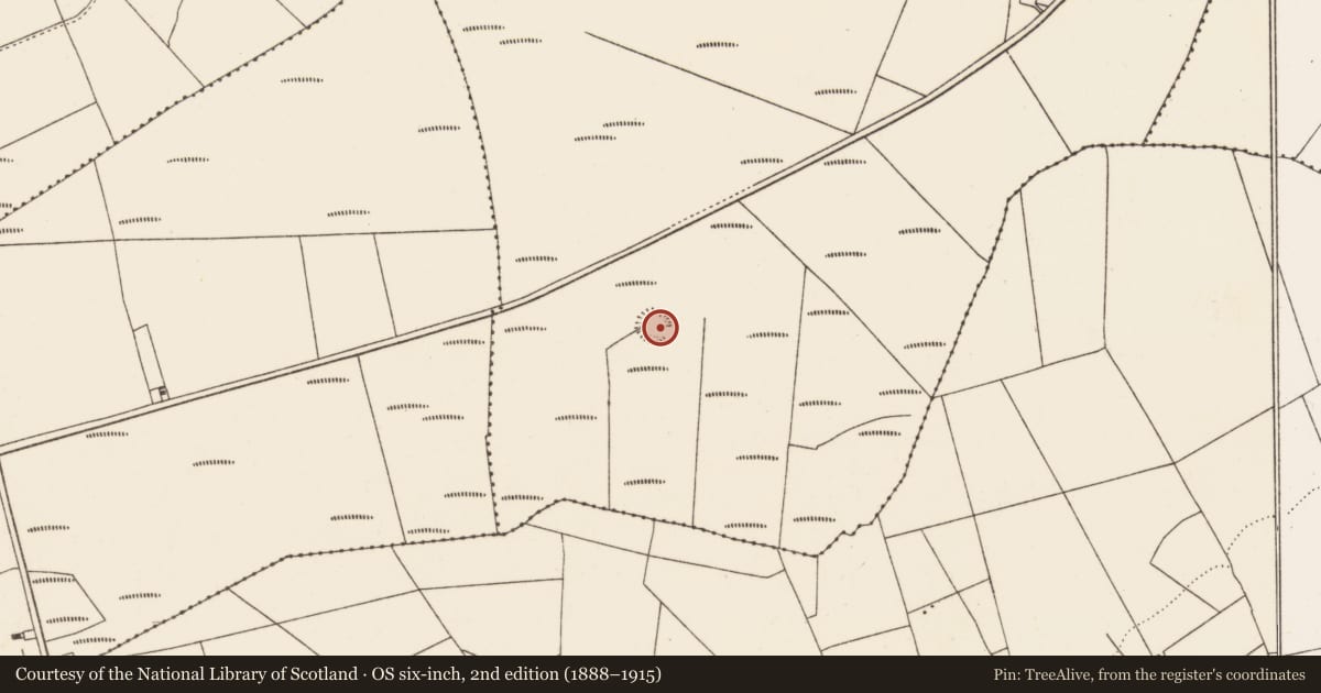 Ordnance Survey six-inch map, 2nd edition (1888–1915) covering the location of Ringfort - rath, Knocknabooly East, County Limerick, with a pin at the register's coordinates