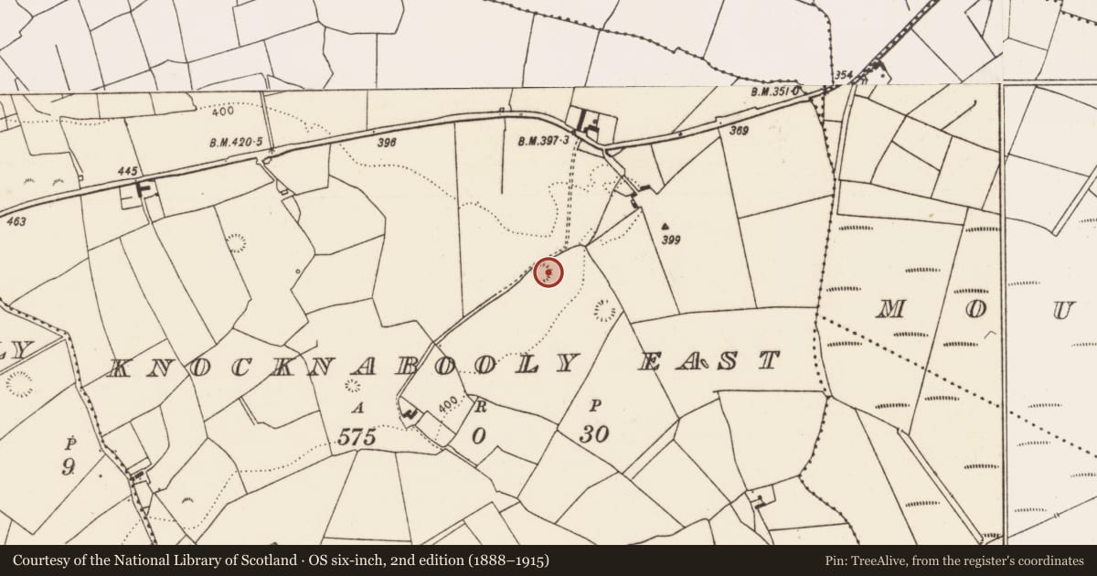 Ordnance Survey six-inch map, 2nd edition (1888–1915) covering the location of Ringfort - rath, Knocknabooly East, County Limerick, with a pin at the register's coordinates