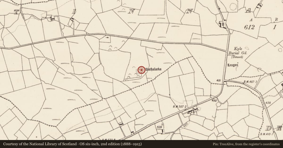 Ordnance Survey six-inch map, 2nd edition (1888–1915) covering the location of Ringfort - rath, Tinnakilla, County Limerick, with a pin at the register's coordinates