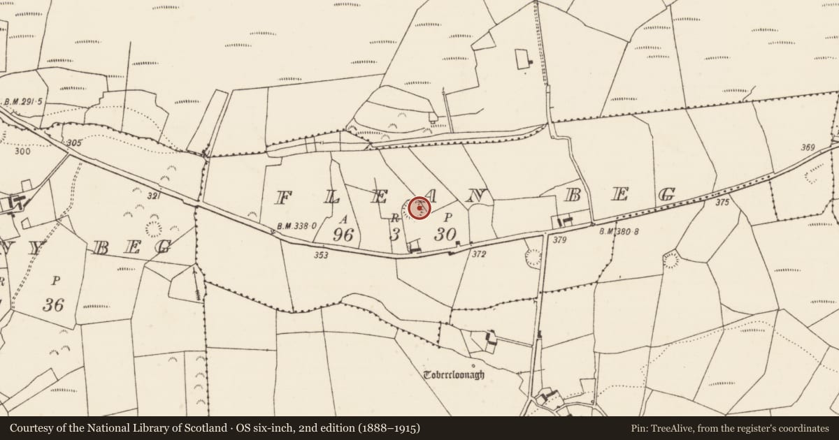 Ordnance Survey six-inch map, 2nd edition (1888–1915) covering the location of Ringfort - rath, Flean Beg, County Limerick, with a pin at the register's coordinates