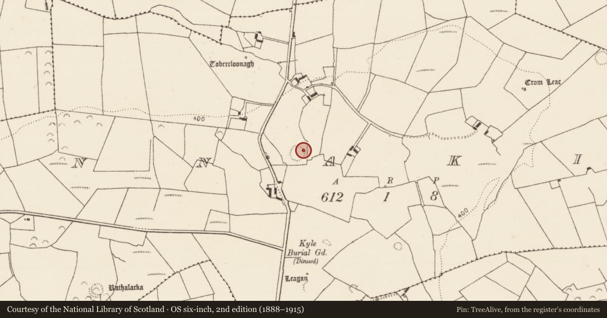 Ordnance Survey six-inch map, 2nd edition (1888–1915) covering the location of Ringfort - rath, Tinnakilla, County Limerick, with a pin at the register's coordinates