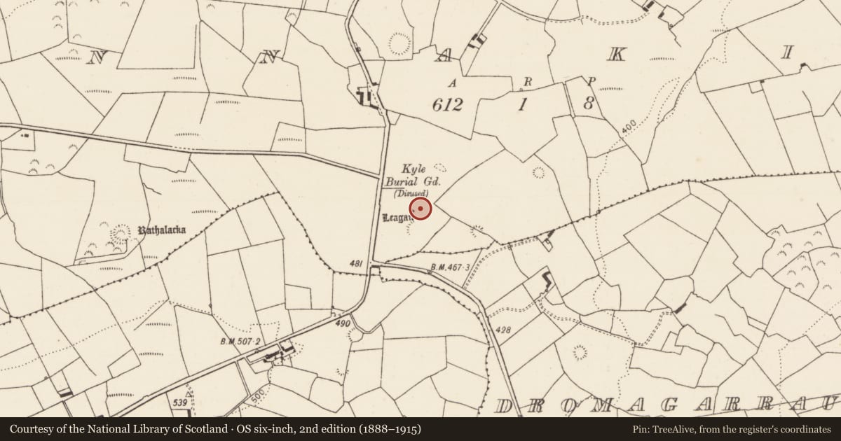 Ordnance Survey six-inch map, 2nd edition (1888–1915) covering the location of Cist, Tinnakilla, County Limerick, with a pin at the register's coordinates