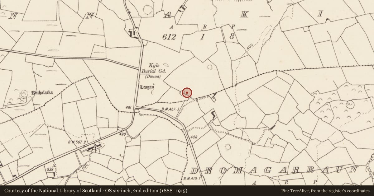 Ordnance Survey six-inch map, 2nd edition (1888–1915) covering the location of Ringfort - rath, Tinnakilla, County Limerick, with a pin at the register's coordinates