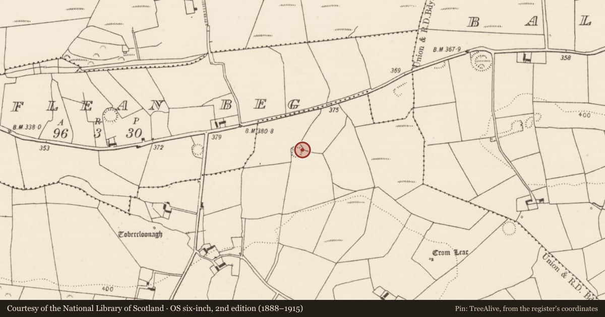 Ordnance Survey six-inch map, 2nd edition (1888–1915) covering the location of Ringfort - rath, Tinnakilla, County Limerick, with a pin at the register's coordinates