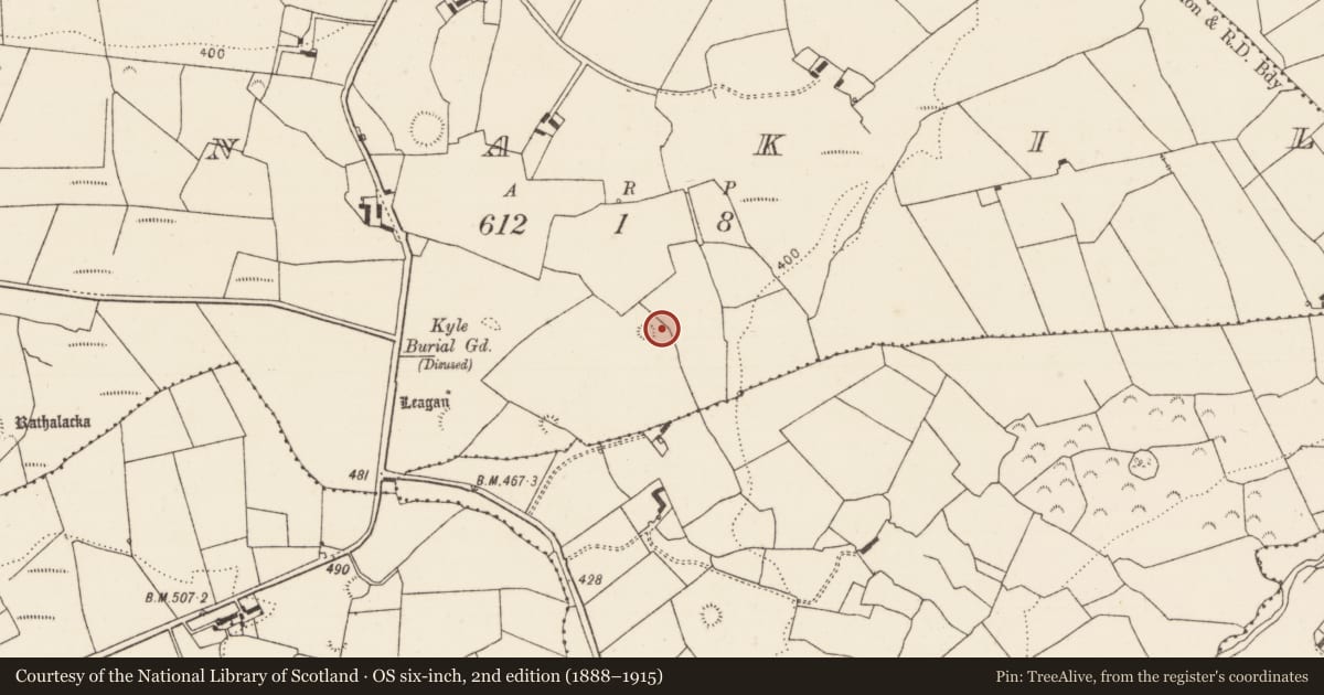 Ordnance Survey six-inch map, 2nd edition (1888–1915) covering the location of Ringfort - rath, Tinnakilla, County Limerick, with a pin at the register's coordinates