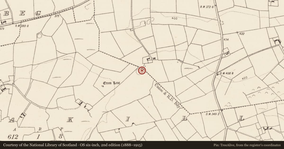 Ordnance Survey six-inch map, 2nd edition (1888–1915) covering the location of Ringfort - rath, Tinnakilla, County Limerick, with a pin at the register's coordinates