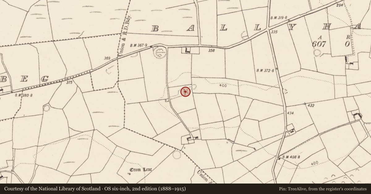 Ordnance Survey six-inch map, 2nd edition (1888–1915) covering the location of Ringfort - rath, Ballyhahill, County Limerick, with a pin at the register's coordinates