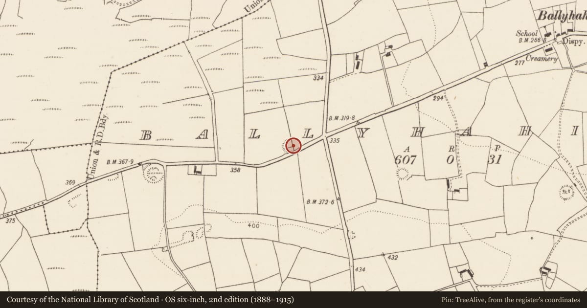 Ordnance Survey six-inch map, 2nd edition (1888–1915) covering the location of Ringfort - rath, Ballyhahill, County Limerick, with a pin at the register's coordinates