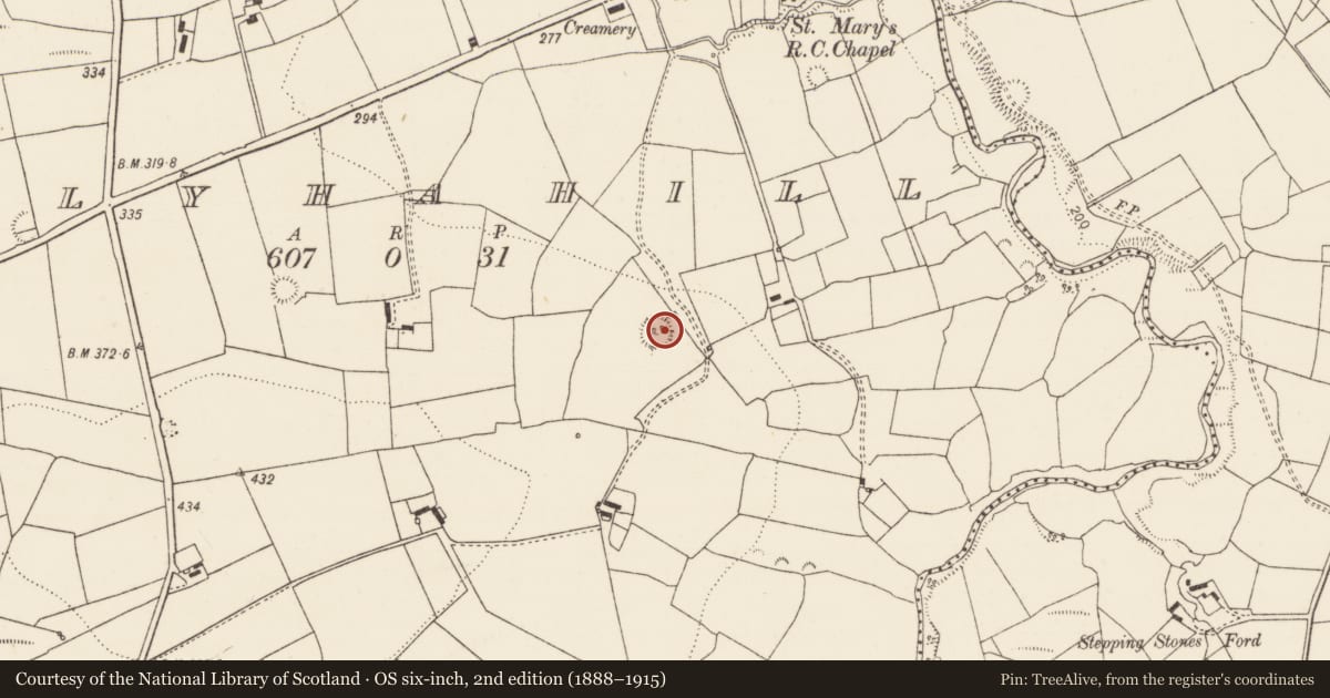 Ordnance Survey six-inch map, 2nd edition (1888–1915) covering the location of Ringfort - rath, Ballyhahill, County Limerick, with a pin at the register's coordinates