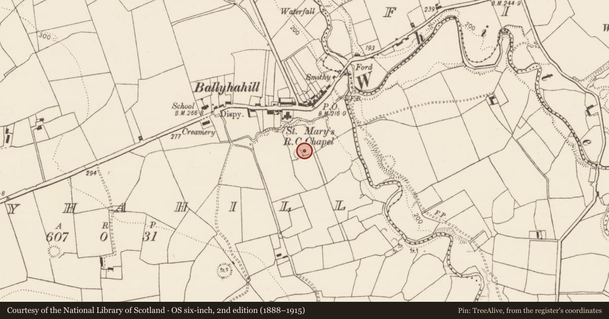 Ordnance Survey six-inch map, 2nd edition (1888–1915) covering the location of Ringfort - rath, Ballyhahill, County Limerick, with a pin at the register's coordinates