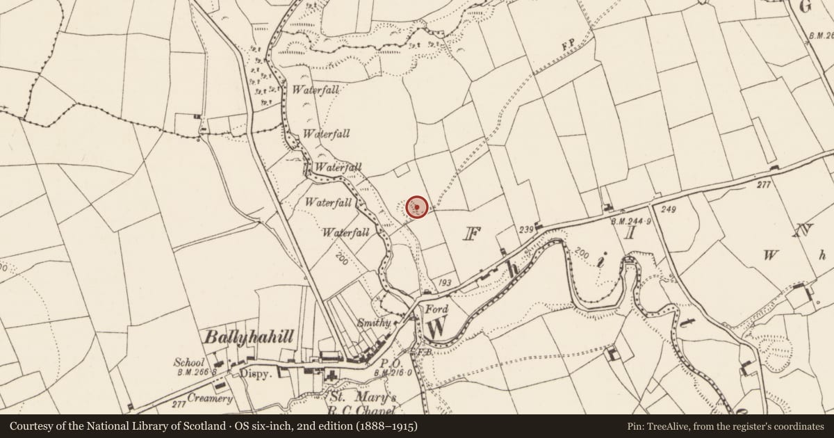 Ordnance Survey six-inch map, 2nd edition (1888–1915) covering the location of Ringfort - rath, Finnoo, County Limerick, with a pin at the register's coordinates