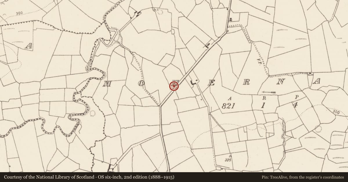 Ordnance Survey six-inch map, 2nd edition (1888–1915) covering the location of Enclosure, Mohernagh, County Limerick, with a pin at the register's coordinates