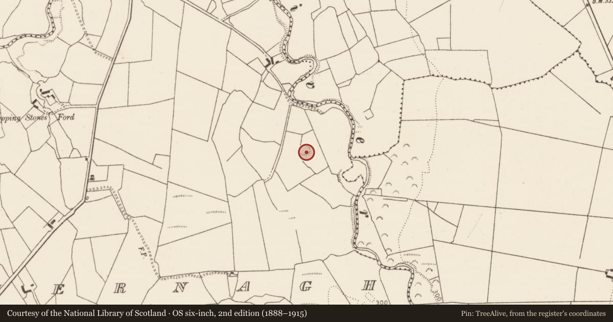 Ordnance Survey six-inch map, 2nd edition (1888–1915) covering the location of Ringfort - rath, Mohernagh, County Limerick, with a pin at the register's coordinates