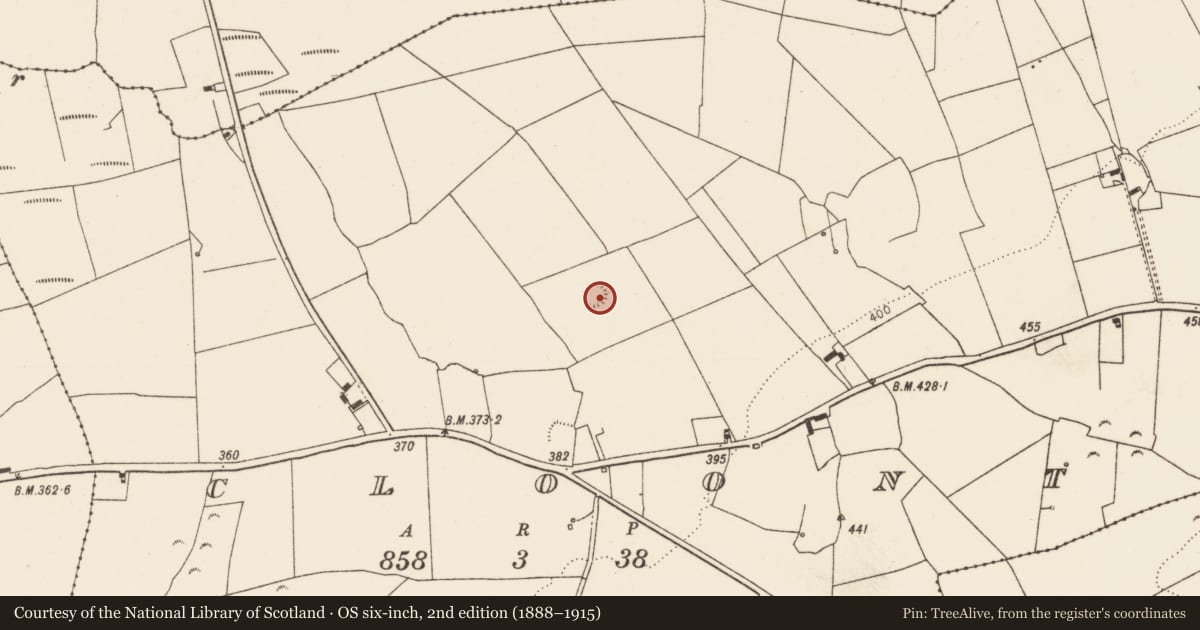 Ordnance Survey six-inch map, 2nd edition (1888–1915) covering the location of Ringfort - rath, Cloonty, County Limerick, with a pin at the register's coordinates