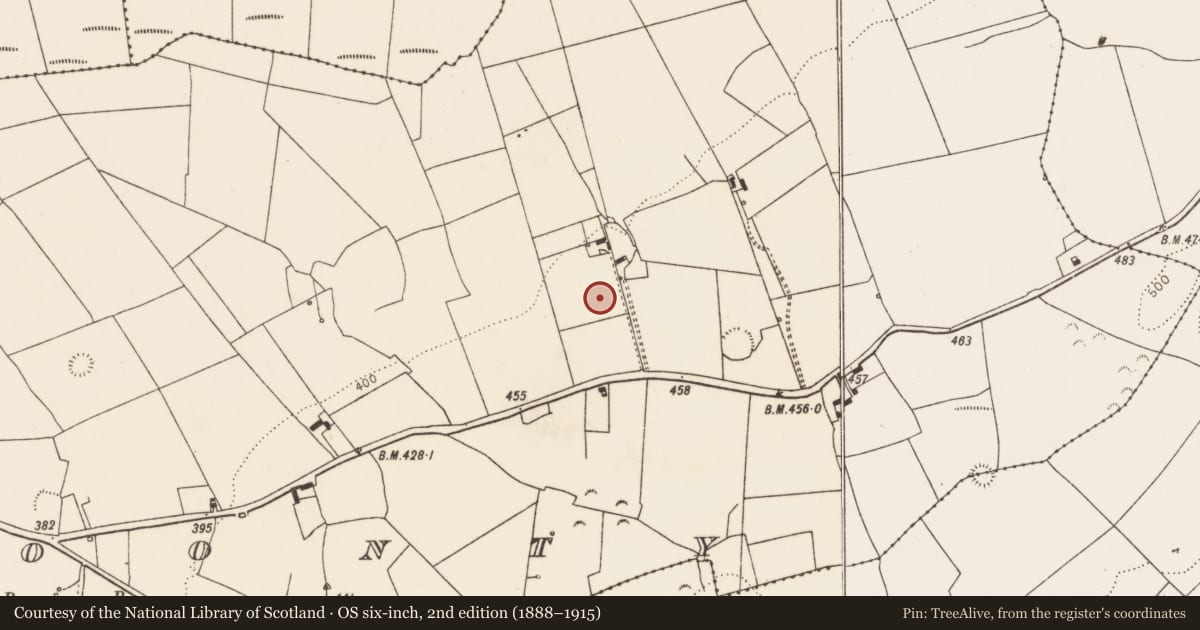 Ordnance Survey six-inch map, 2nd edition (1888–1915) covering the location of Ringfort - rath, Cloonty, County Limerick, with a pin at the register's coordinates