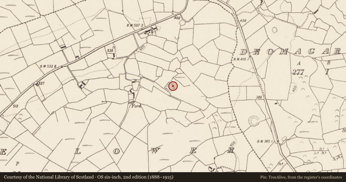 Ordnance Survey six-inch map, 2nd edition (1888–1915) covering the location of Enclosure, Tooraree Lower, County Limerick, with a pin at the register's coordinates