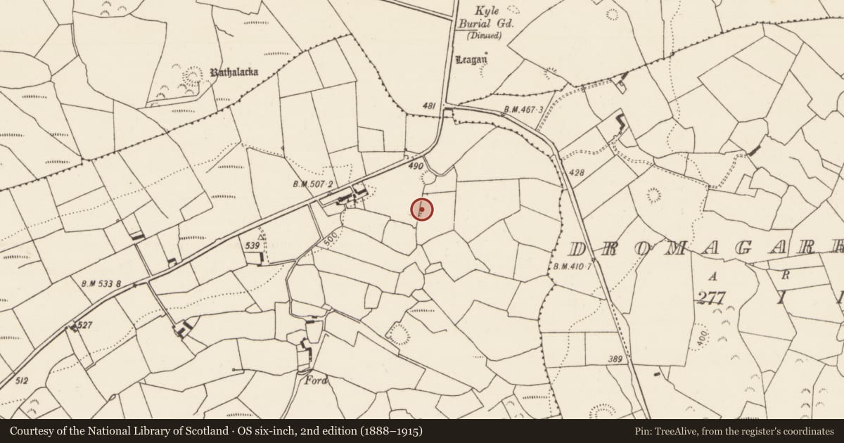 Ordnance Survey six-inch map, 2nd edition (1888–1915) covering the location of Ringfort - rath, Tooraree Lower, County Limerick, with a pin at the register's coordinates