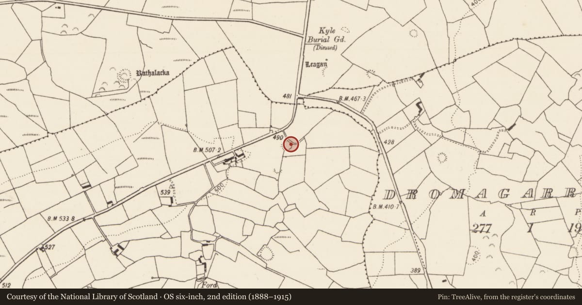 Ordnance Survey six-inch map, 2nd edition (1888–1915) covering the location of Ringfort - rath, Tooraree Lower, County Limerick, with a pin at the register's coordinates
