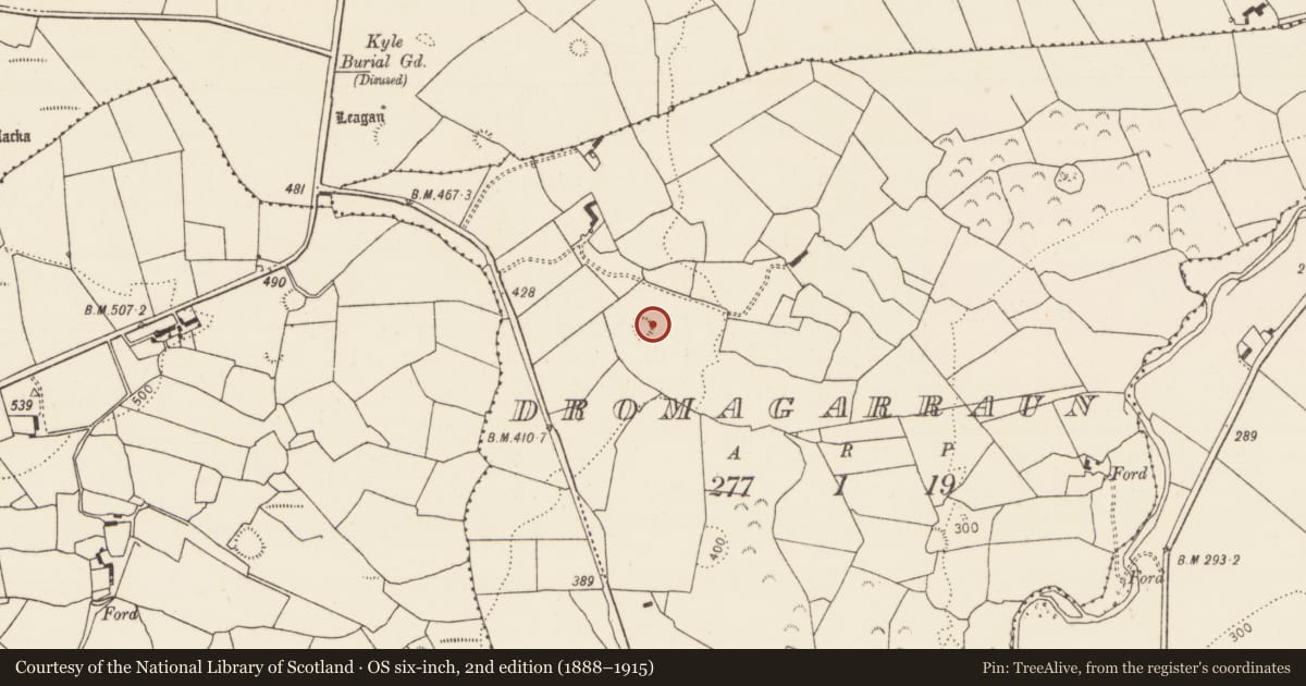 Ordnance Survey six-inch map, 2nd edition (1888–1915) covering the location of Enclosure, Dromagarraun, County Limerick, with a pin at the register's coordinates