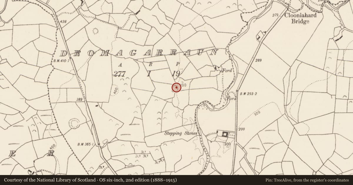 Ordnance Survey six-inch map, 2nd edition (1888–1915) covering the location of Ringfort - rath, Dromagarraun, County Limerick, with a pin at the register's coordinates