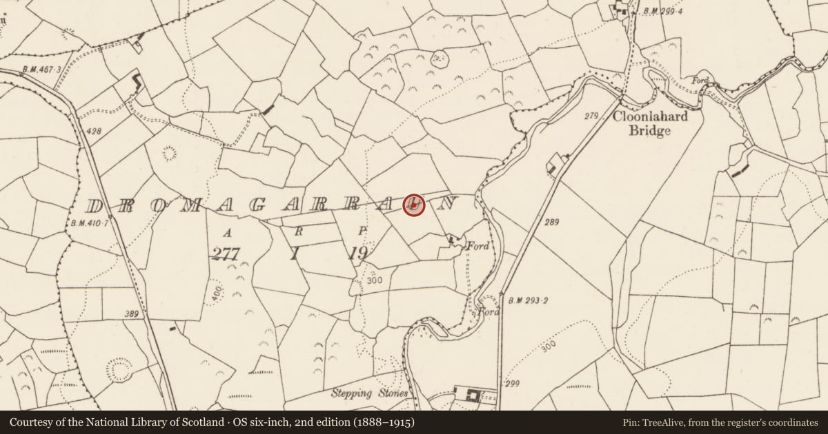 Ordnance Survey six-inch map, 2nd edition (1888–1915) covering the location of Ringfort - rath, Dromagarraun, County Limerick, with a pin at the register's coordinates