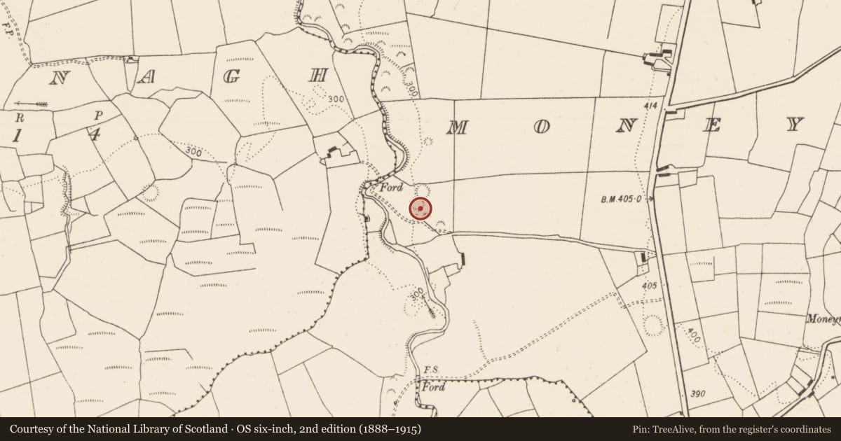 Ordnance Survey six-inch map, 2nd edition (1888–1915) covering the location of Ringfort - rath, Moneymohill, County Limerick, with a pin at the register's coordinates