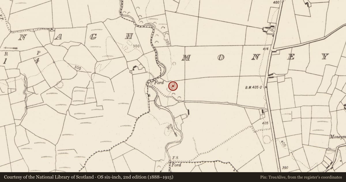 Ordnance Survey six-inch map, 2nd edition (1888–1915) covering the location of Ringfort - rath, Moneymohill, County Limerick, with a pin at the register's coordinates