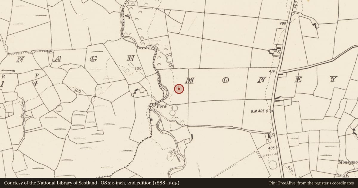Ordnance Survey six-inch map, 2nd edition (1888–1915) covering the location of Mound, Moneymohill, County Limerick, with a pin at the register's coordinates