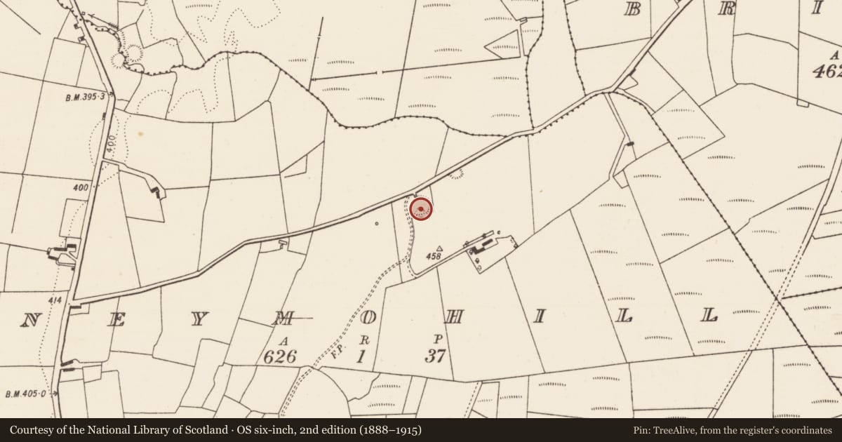 Ordnance Survey six-inch map, 2nd edition (1888–1915) covering the location of Ringfort - rath, Moneymohill, County Limerick, with a pin at the register's coordinates