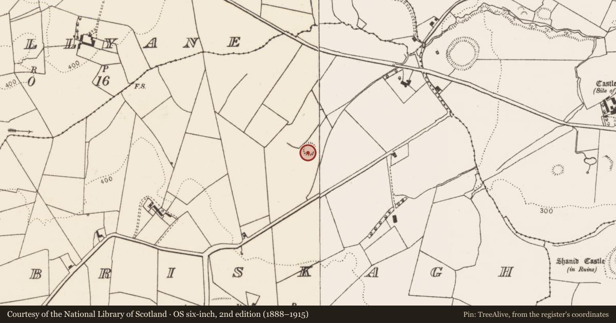 Ordnance Survey six-inch map, 2nd edition (1888–1915) covering the location of Ringfort - rath, Briskagh, County Limerick, with a pin at the register's coordinates