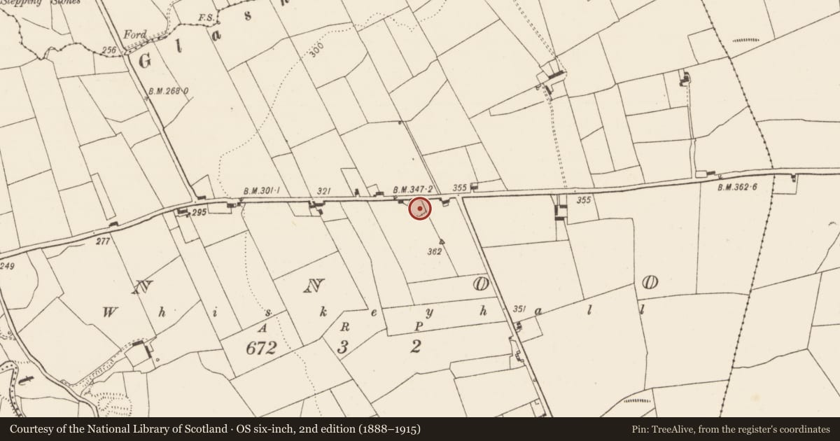 Ordnance Survey six-inch map, 2nd edition (1888–1915) covering the location of Burial ground, Finnoo, County Limerick, with a pin at the register's coordinates