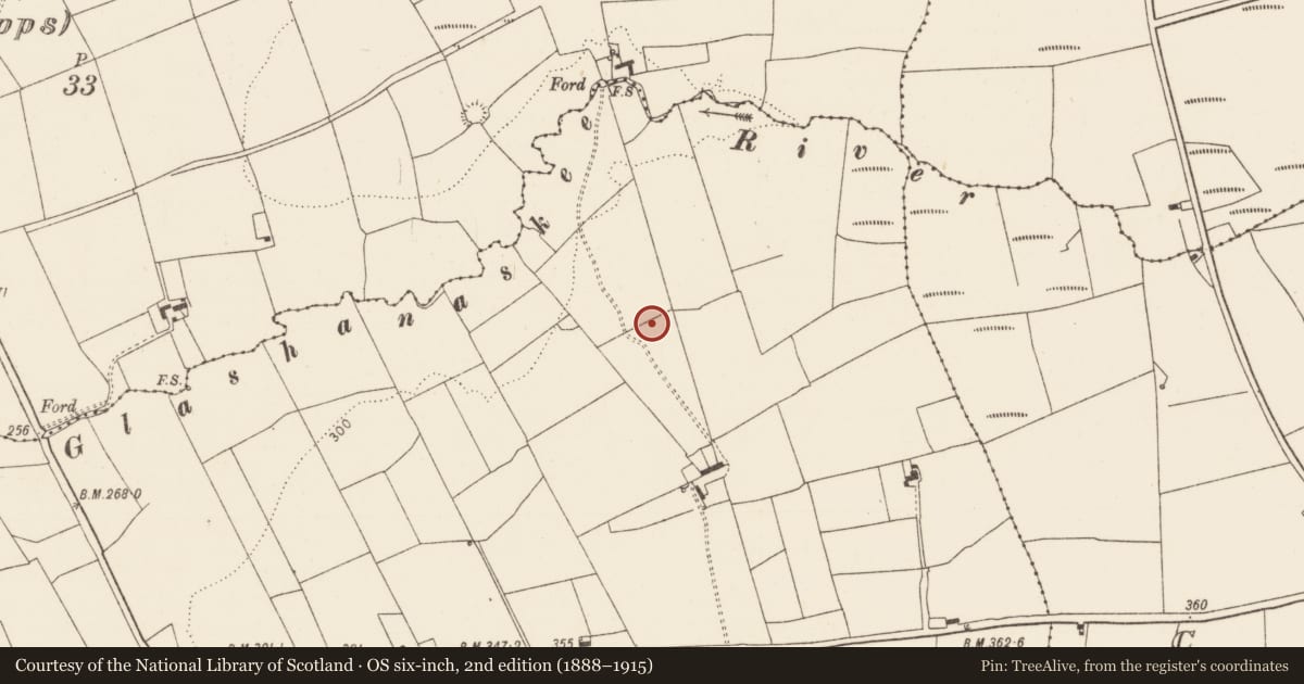 Ordnance Survey six-inch map, 2nd edition (1888–1915) covering the location of Fulacht fia, Finnoo, County Limerick, with a pin at the register's coordinates