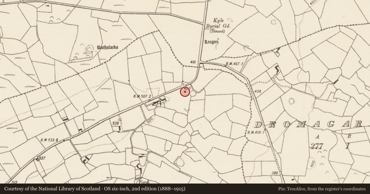 Ordnance Survey six-inch map, 2nd edition (1888–1915) covering the location of Standing stone, Tooraree Lower, County Limerick, with a pin at the register's coordinates