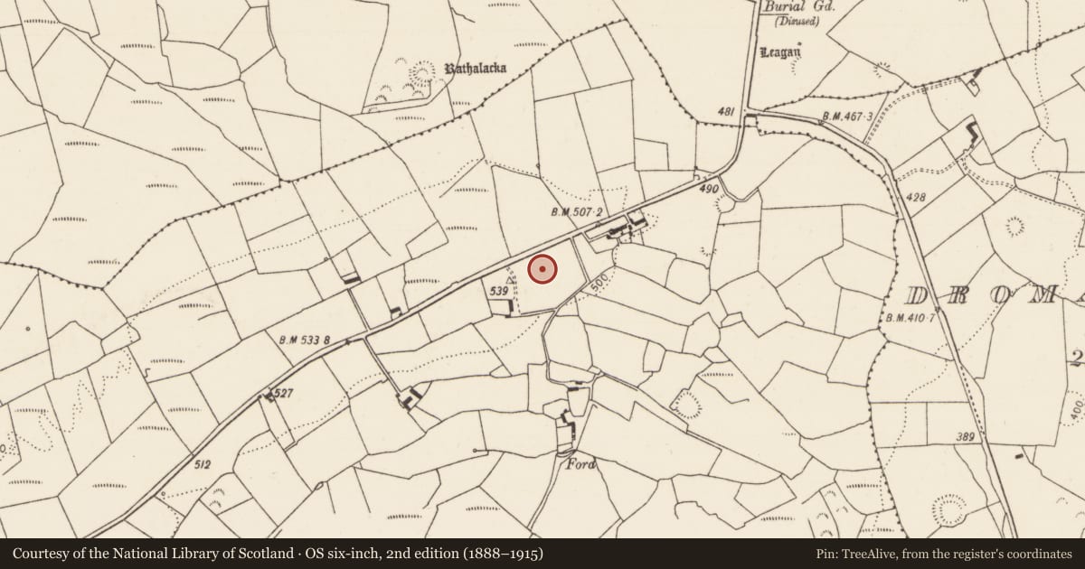 Ordnance Survey six-inch map, 2nd edition (1888–1915) covering the location of Standing stone, Tooraree Lower, County Limerick, with a pin at the register's coordinates