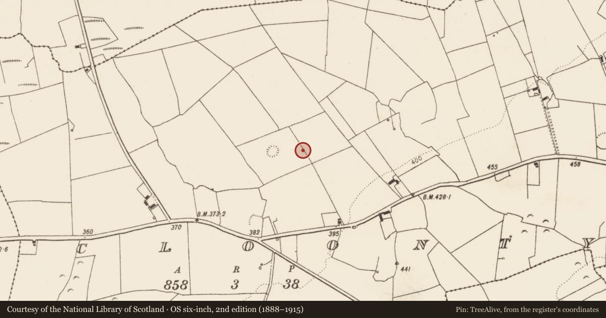 Ordnance Survey six-inch map, 2nd edition (1888–1915) covering the location of Enclosure, Cloonty, County Limerick, with a pin at the register's coordinates