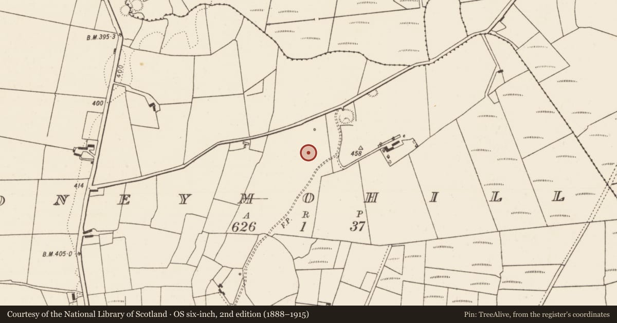 Ordnance Survey six-inch map, 2nd edition (1888–1915) covering the location of Standing stone, Moneymohill, County Limerick, with a pin at the register's coordinates