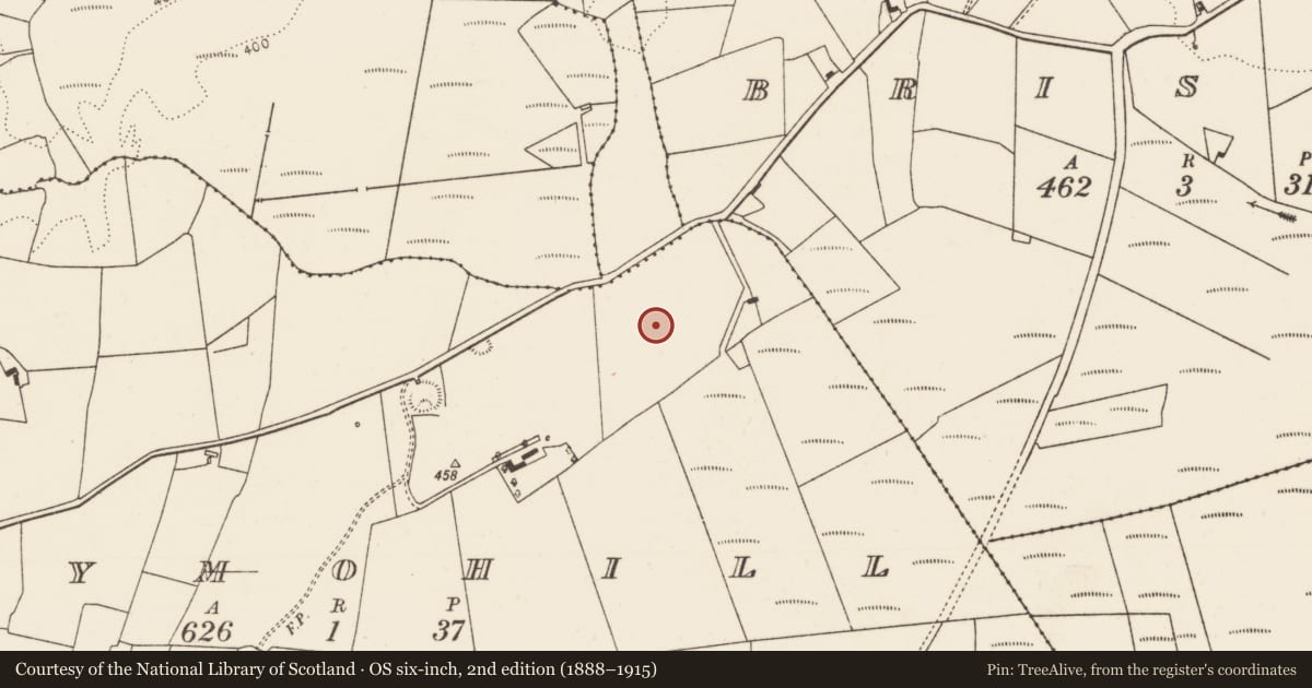 Ordnance Survey six-inch map, 2nd edition (1888–1915) covering the location of Standing stone, Moneymohill, County Limerick, with a pin at the register's coordinates