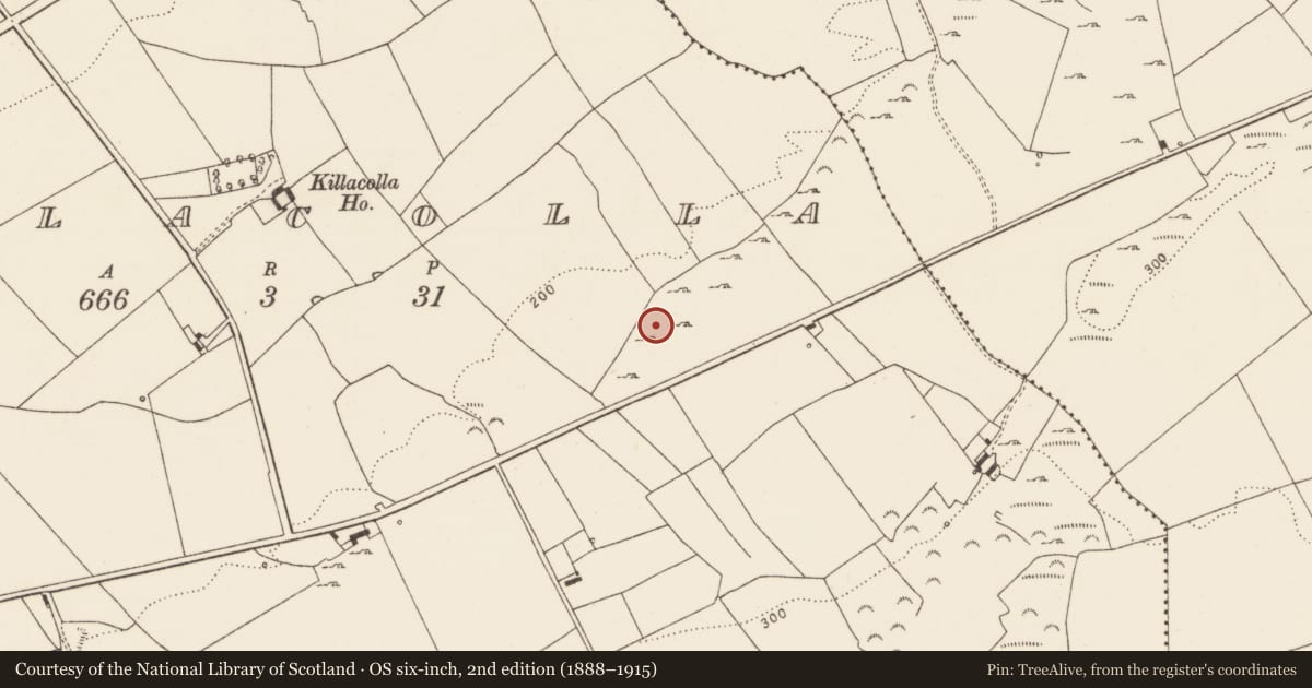 Ordnance Survey six-inch map, 2nd edition (1888–1915) covering the location of Standing stone, Killacolla, County Limerick, with a pin at the register's coordinates