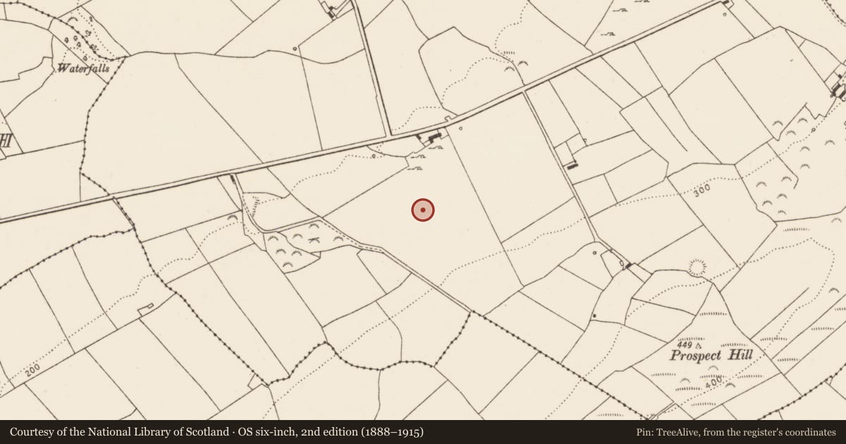 Ordnance Survey six-inch map, 2nd edition (1888–1915) covering the location of Standing stone, Killacolla, County Limerick, with a pin at the register's coordinates