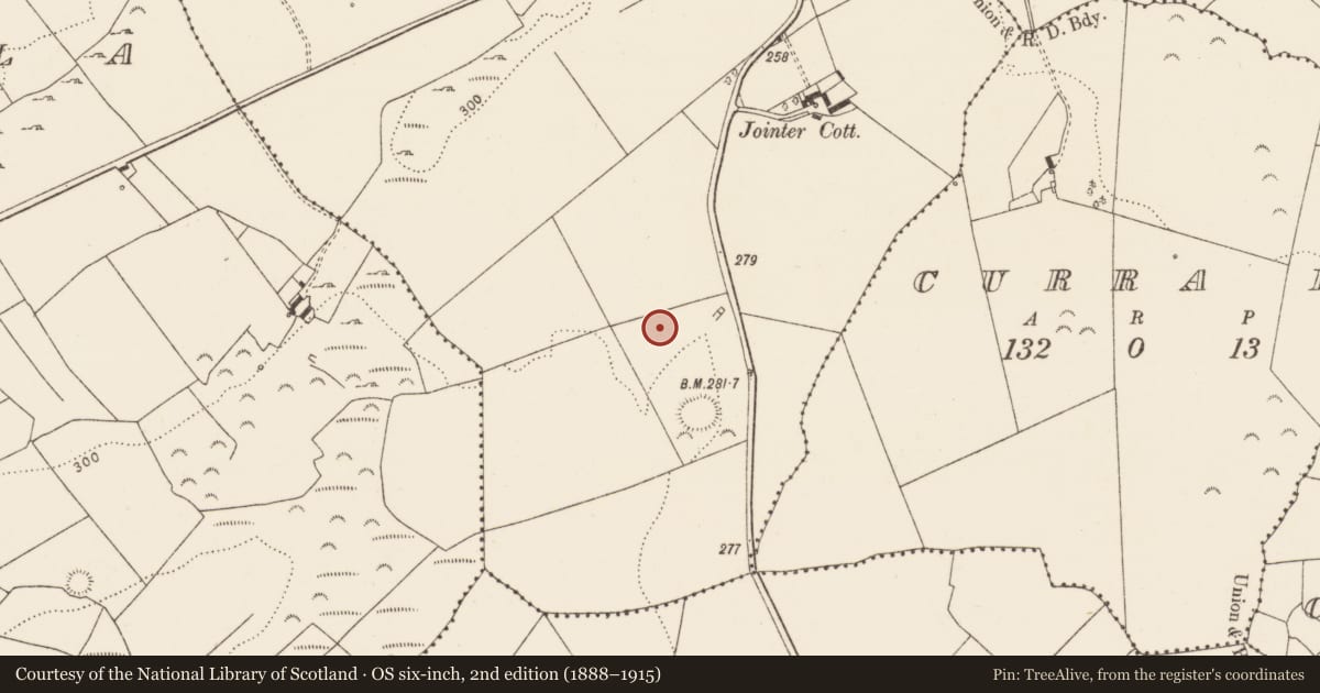 Ordnance Survey six-inch map, 2nd edition (1888–1915) covering the location of Standing stone, Kilteery, County Limerick, with a pin at the register's coordinates