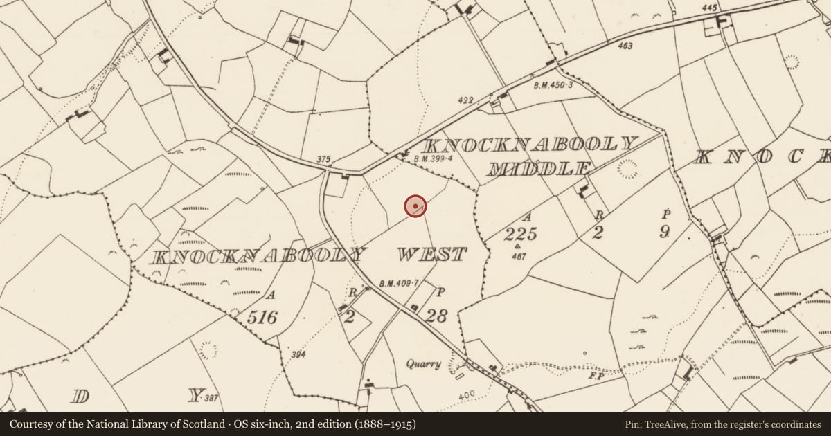 Ordnance Survey six-inch map, 2nd edition (1888–1915) covering the location of Children's burial ground, Knocknabooly West, County Limerick, with a pin at the register's coordinates