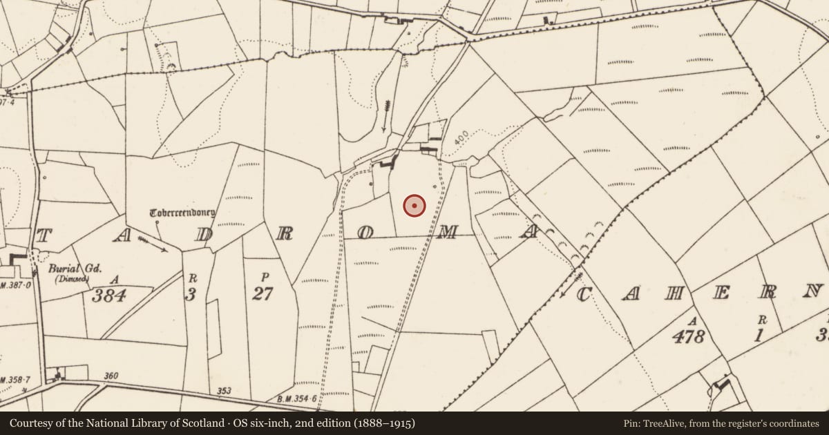 Ordnance Survey six-inch map, 2nd edition (1888–1915) covering the location of Fulacht fia, Gortadroma, County Limerick, with a pin at the register's coordinates