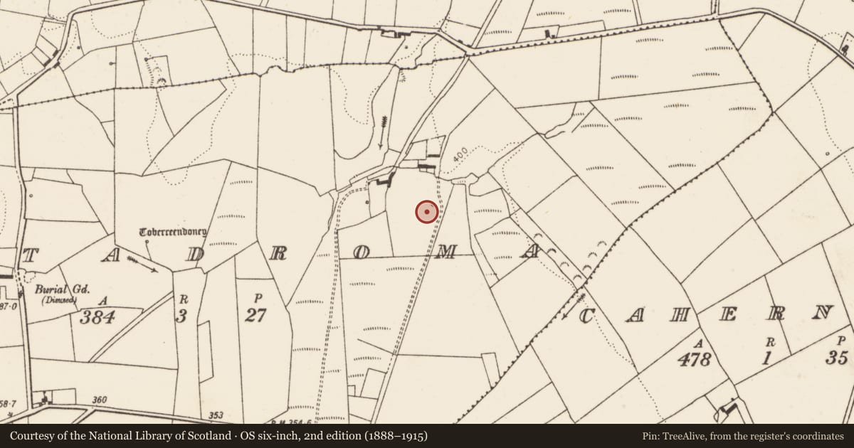 Ordnance Survey six-inch map, 2nd edition (1888–1915) covering the location of Fulacht fia, Gortadroma, County Limerick, with a pin at the register's coordinates