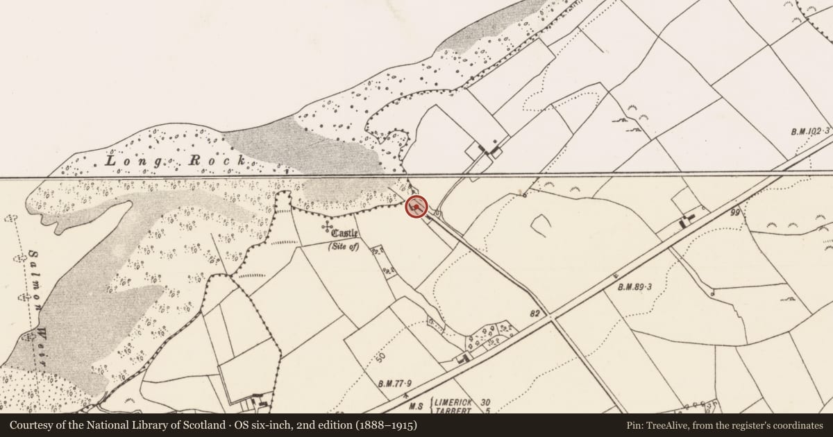 Ordnance Survey six-inch map, 2nd edition (1888–1915) covering the location of Kiln - lime, Killacolla, County Limerick, with a pin at the register's coordinates
