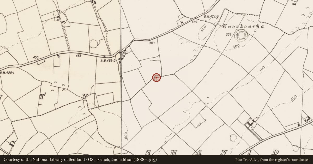 Ordnance Survey six-inch map, 2nd edition (1888–1915) covering the location of Ringfort - rath, Cloonty, County Limerick, with a pin at the register's coordinates