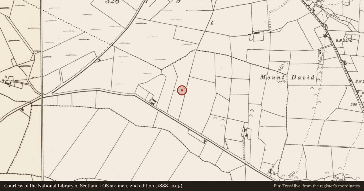 Ordnance Survey six-inch map, 2nd edition (1888–1915) covering the location of Ringfort - rath, Ballycormick, County Limerick, with a pin at the register's coordinates